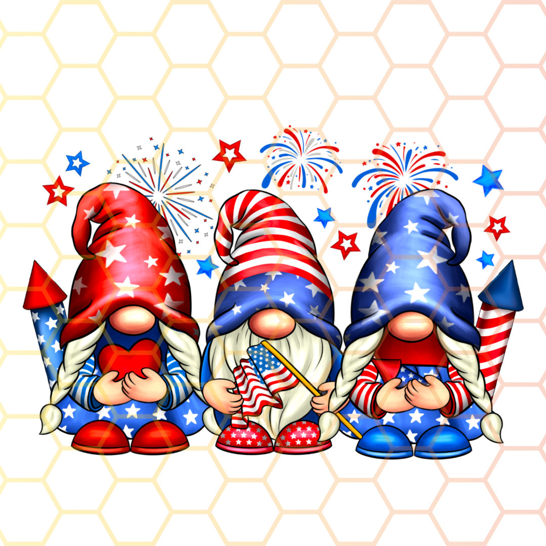 TS - Patriotic Gnomes